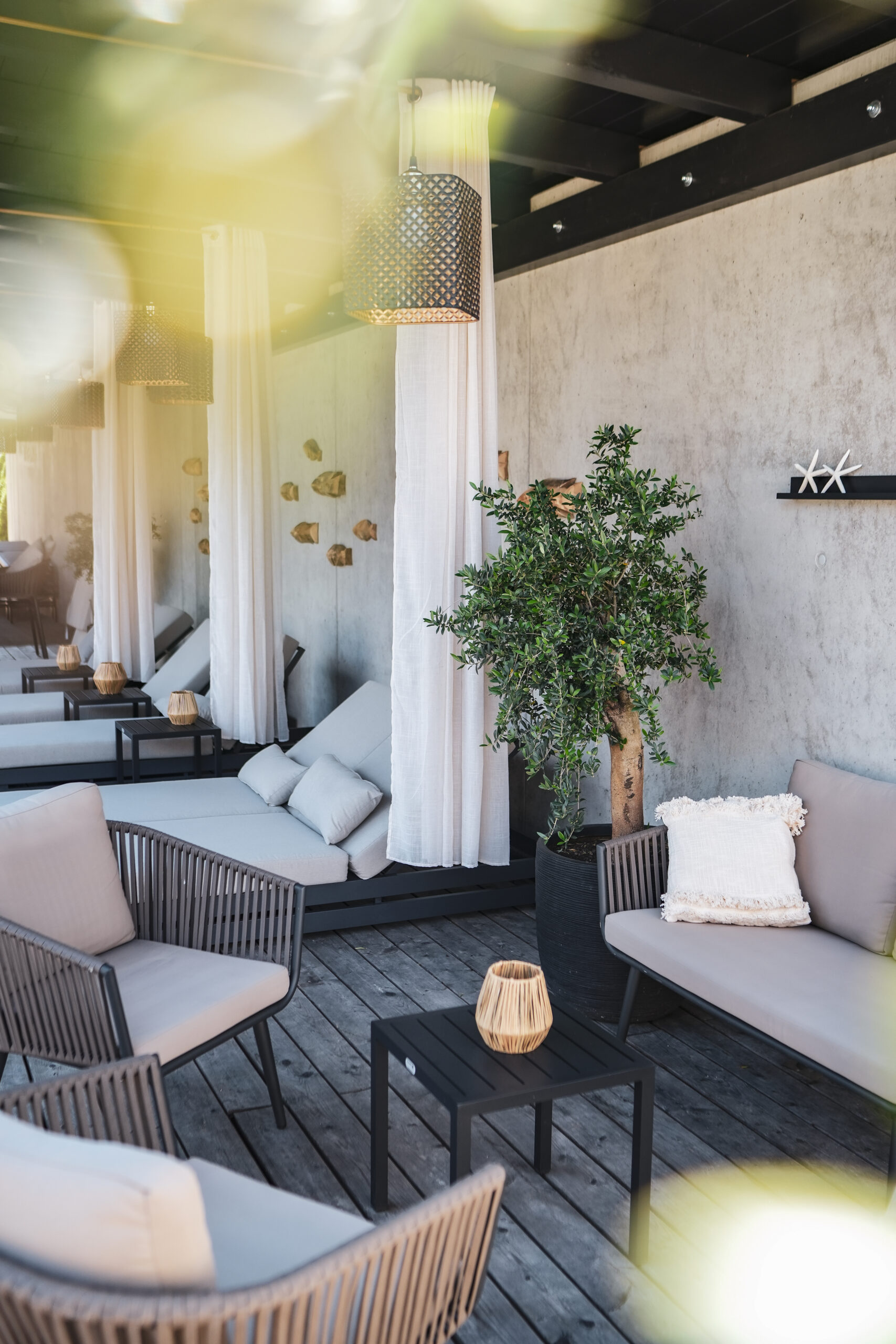 hotel-freigold_wellnessgarten_sommer5